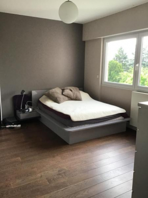 Chambres à loyers dans un Penthause